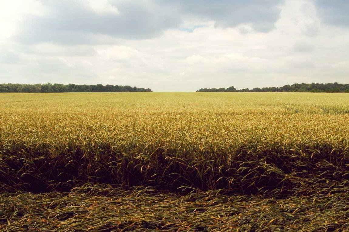 Quis veritatis necessitatibus quo doloremque et voluptas et